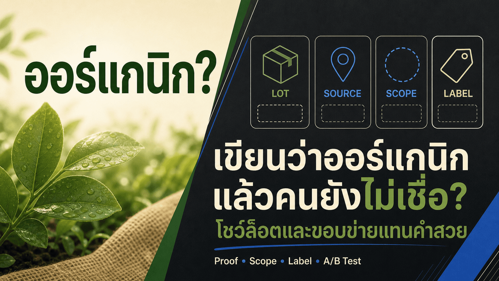 เขียนว่าออร์แกนิกแล้วคนยังไม่เชื่อ? สูตร Creative ที่โชว์ล็อตและขอบข่ายแทนคำสวย